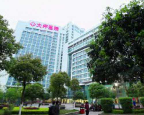 国内正规渠道的供卵,试管微促卵子质量好吗